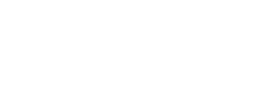 Detektor logo Light